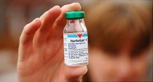A person holding up a bottle of Ketamine, Horse tranquilliser, U