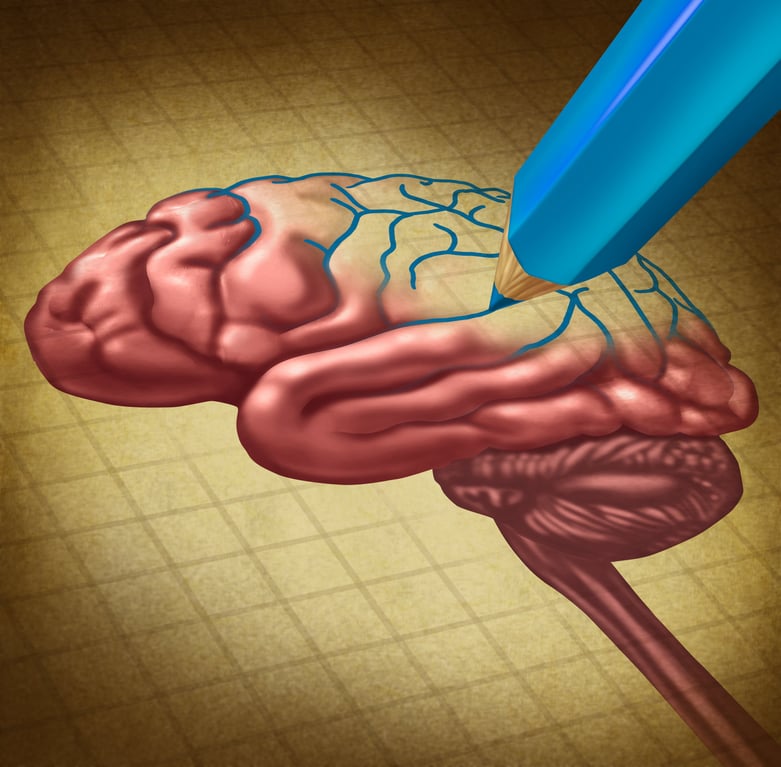 Can Psychedelics Promote Neural Plasticity?